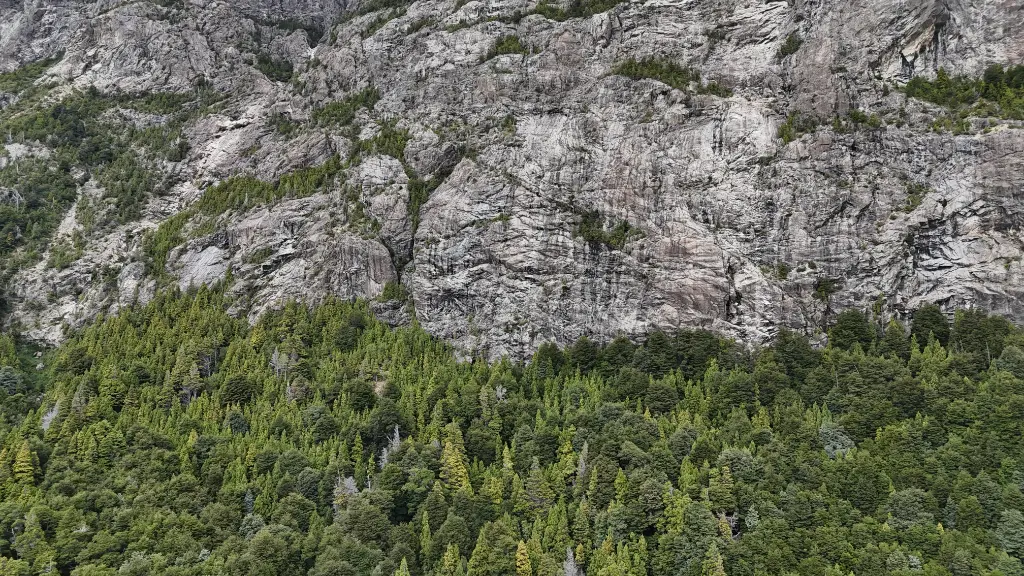 Diedro Blanco banner