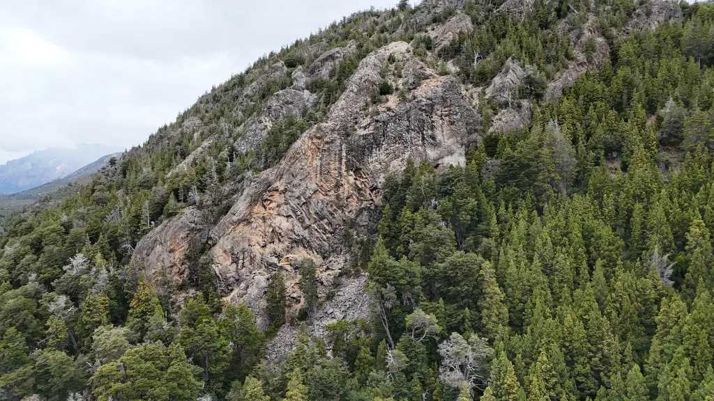 Nueva Colonia banner