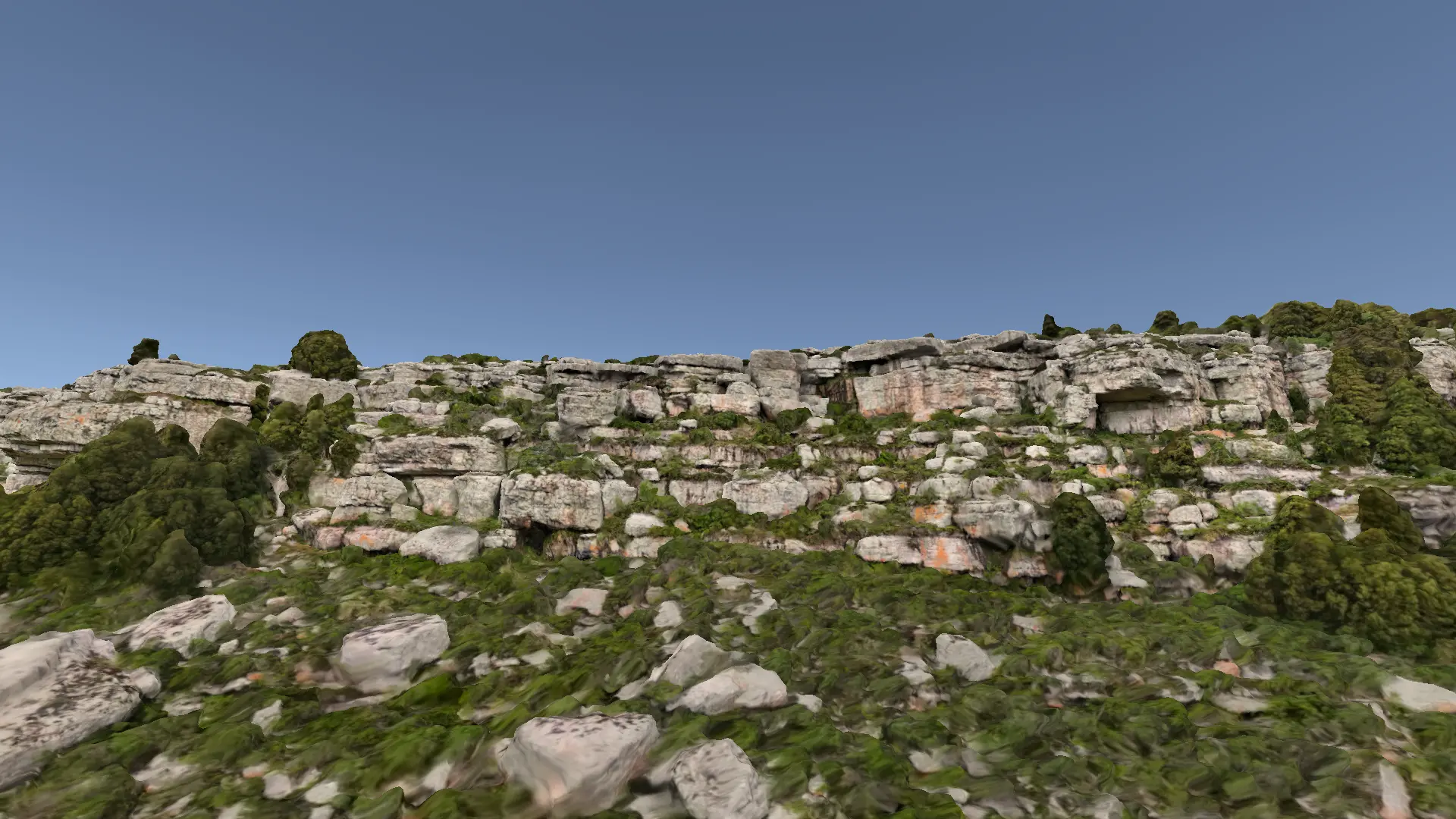 La Visera y El Bosque banner