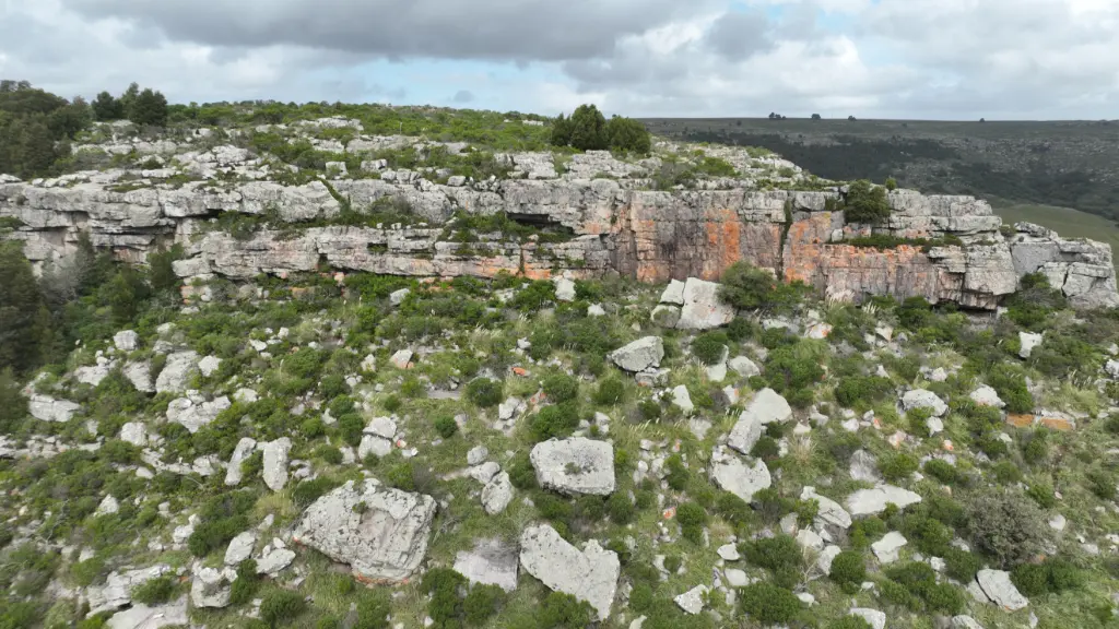 Paredes Naranjas banner