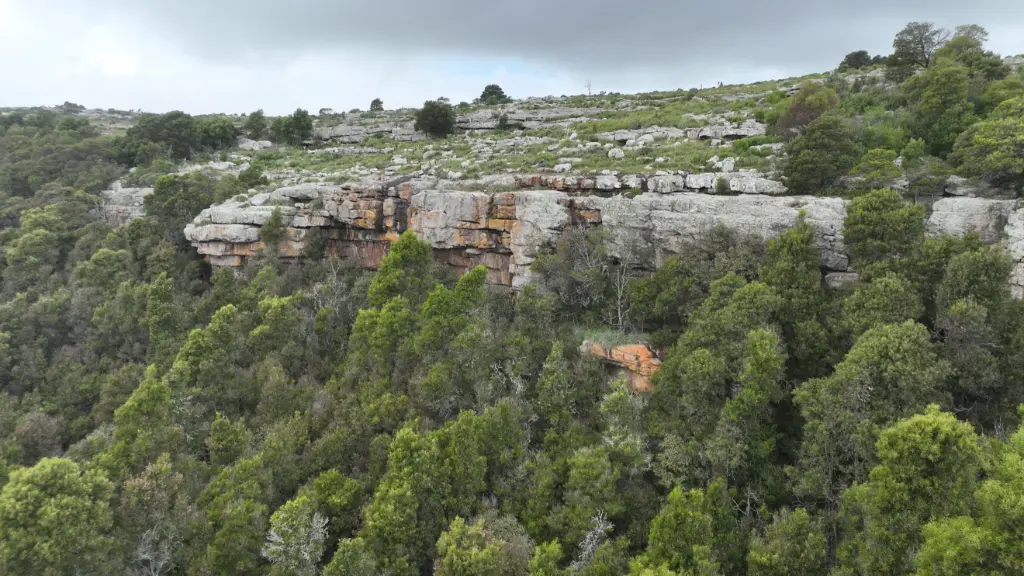 Paredes Rojas banner