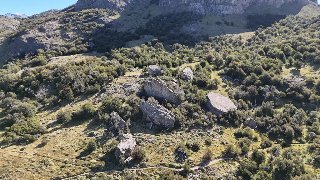 Bosque de Madsen banner