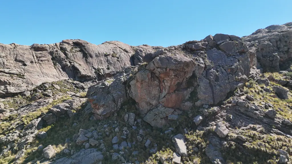 Lengua de Suegra banner