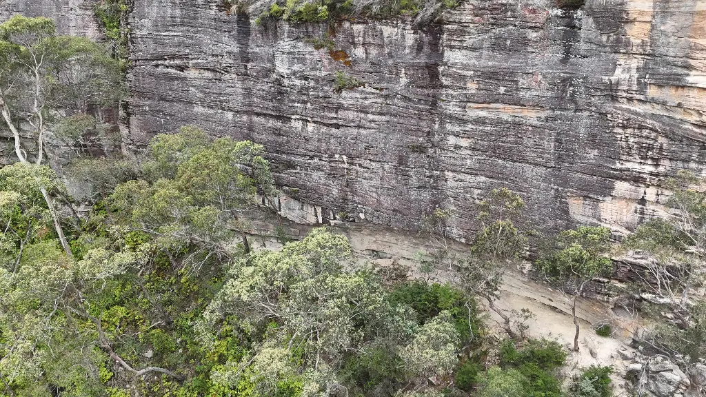 Jean Jeanie Cave banner