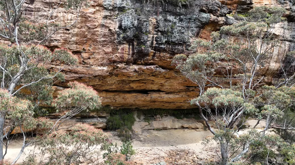 The Devils Circus banner