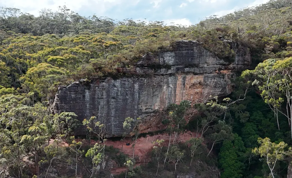 Boronia Point banner