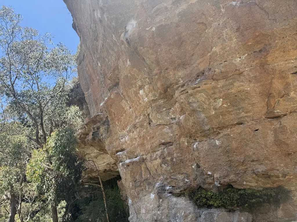 Junket Pumper banner