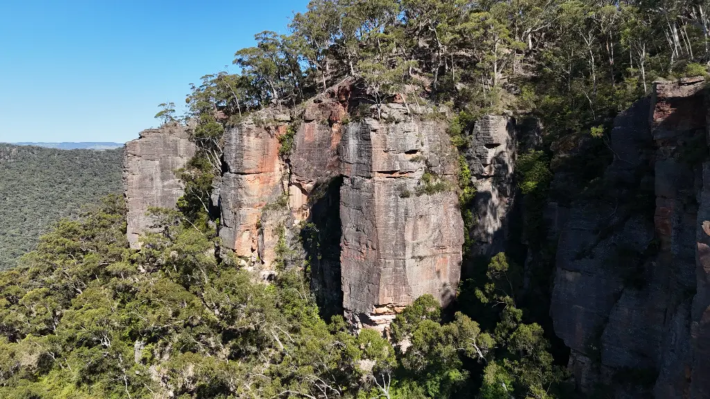 Teenage Buttress banner
