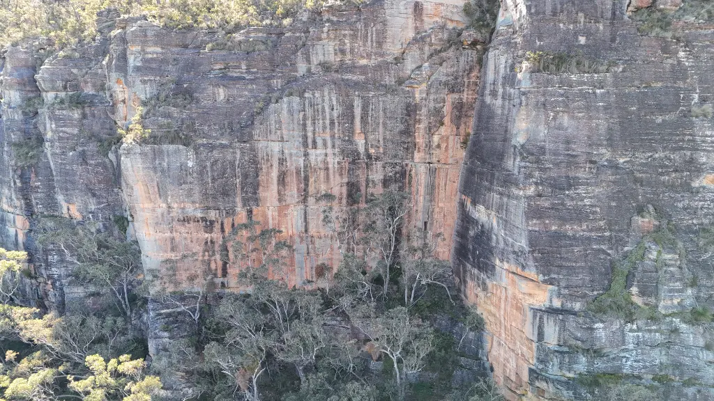 The Janicepts Area banner