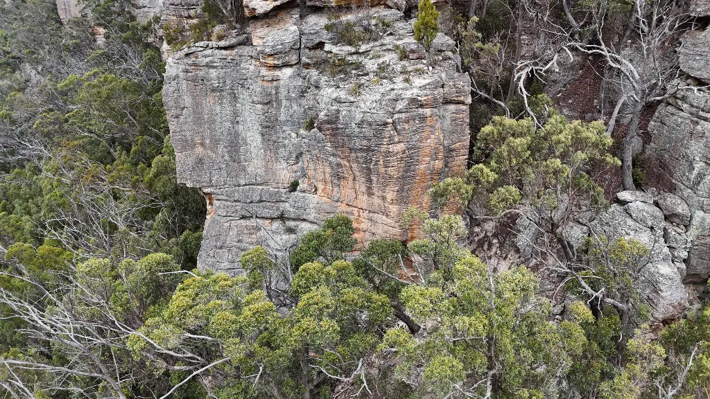 Master Plan Area banner