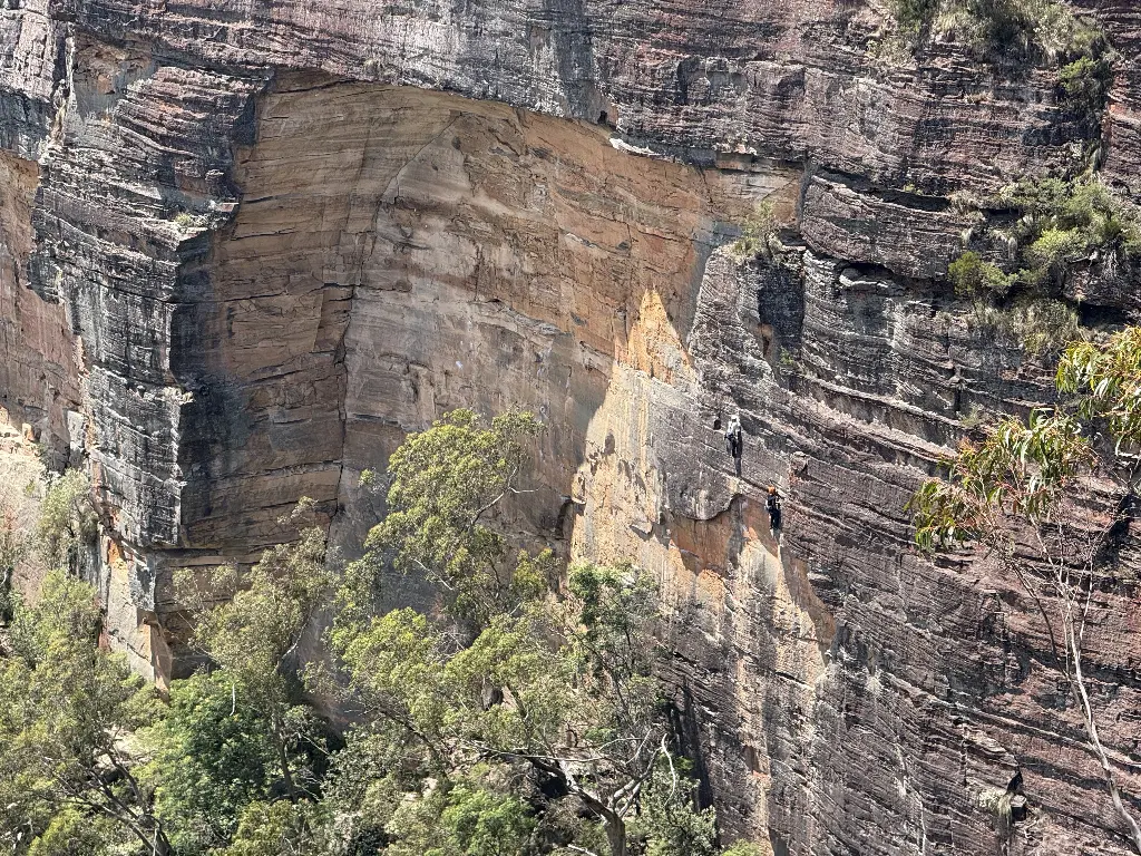 Dogs Cats And Apples Wall banner