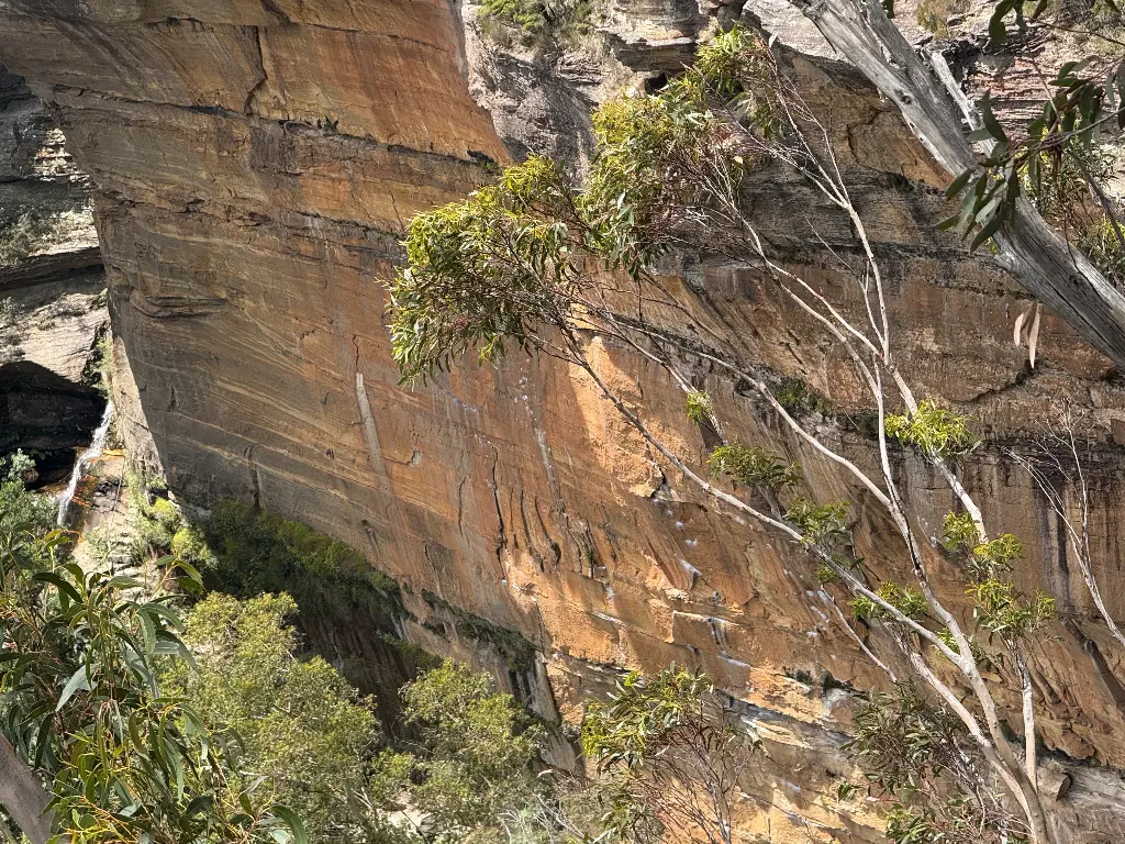Sail Away Wall banner