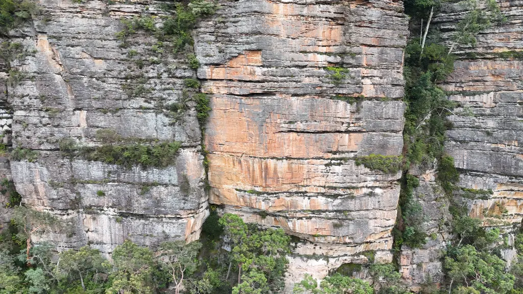 New World Order banner