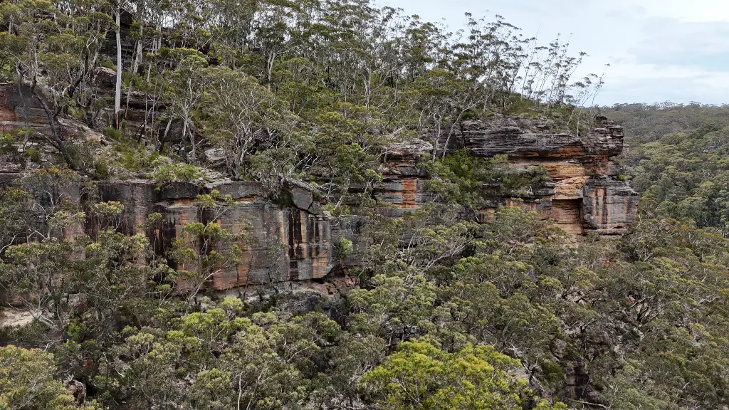 The Noisy Place banner