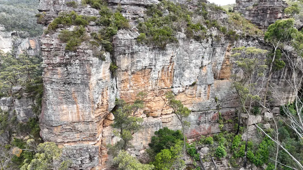 Currawong Wall banner