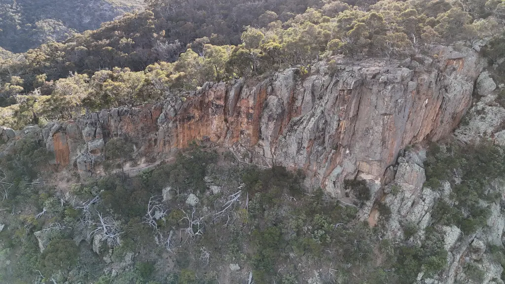 Falcons Lookout banner