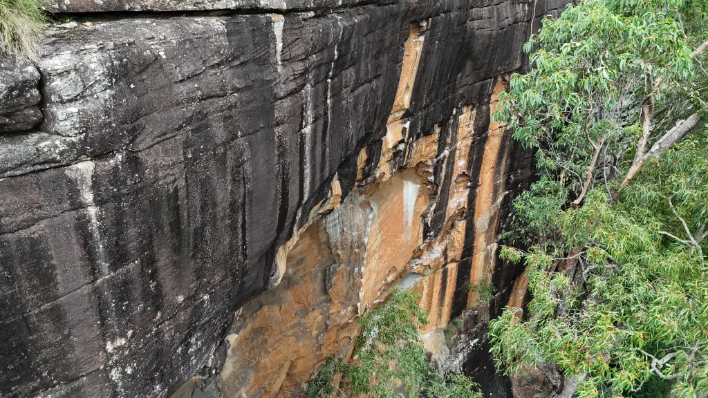 Betty Blue Area banner