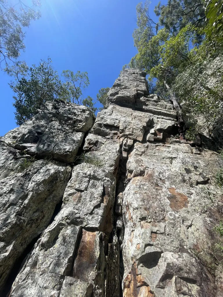 Trackside Tower banner