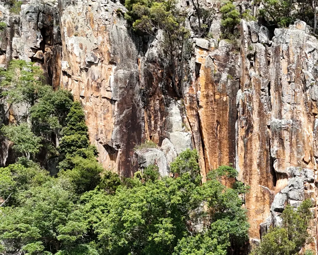 Entry Walls (West) banner