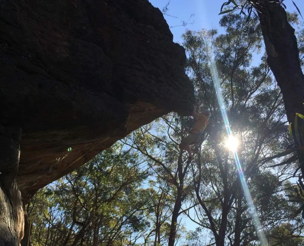 The Main Cave banner