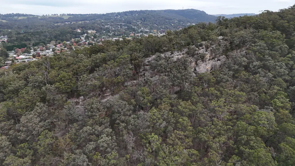 Mt Alexandra banner
