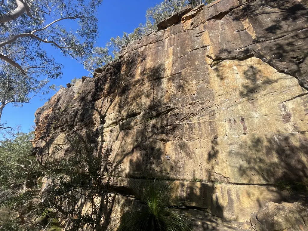 Bullet Hole and Glamorpus Wall banner