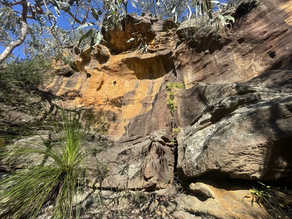 Kids Free Area banner