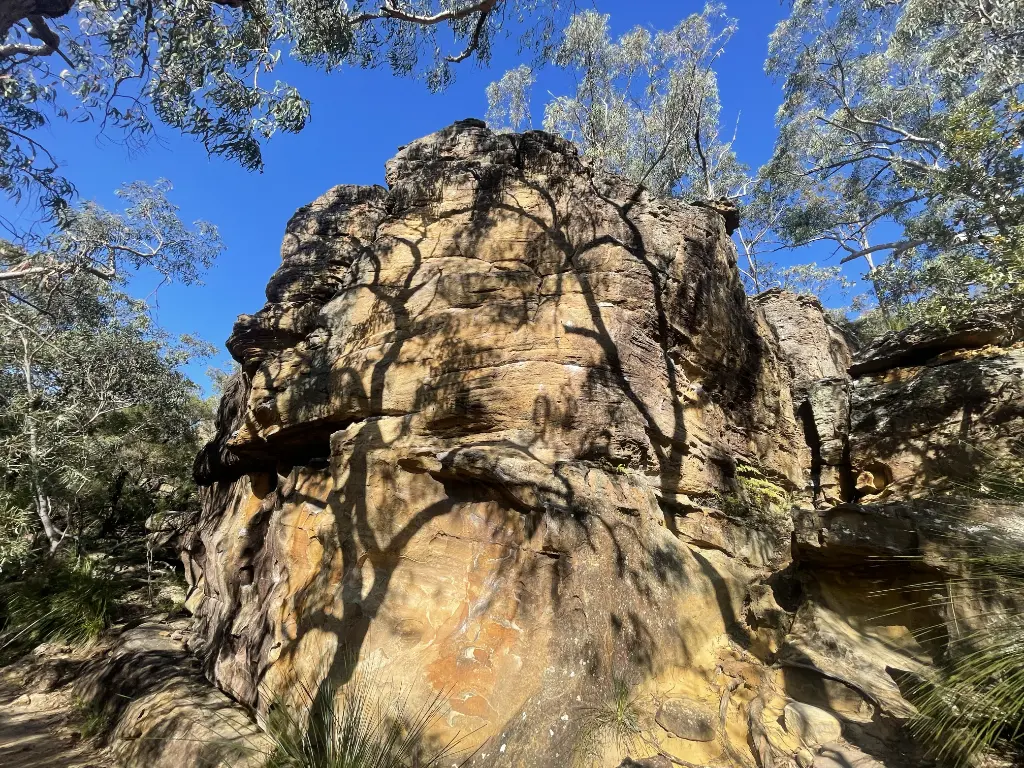 Pimple Buttress banner