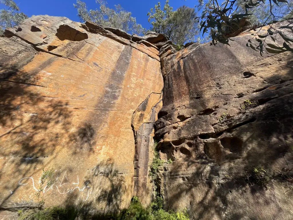 Positive Ape Factor Area banner