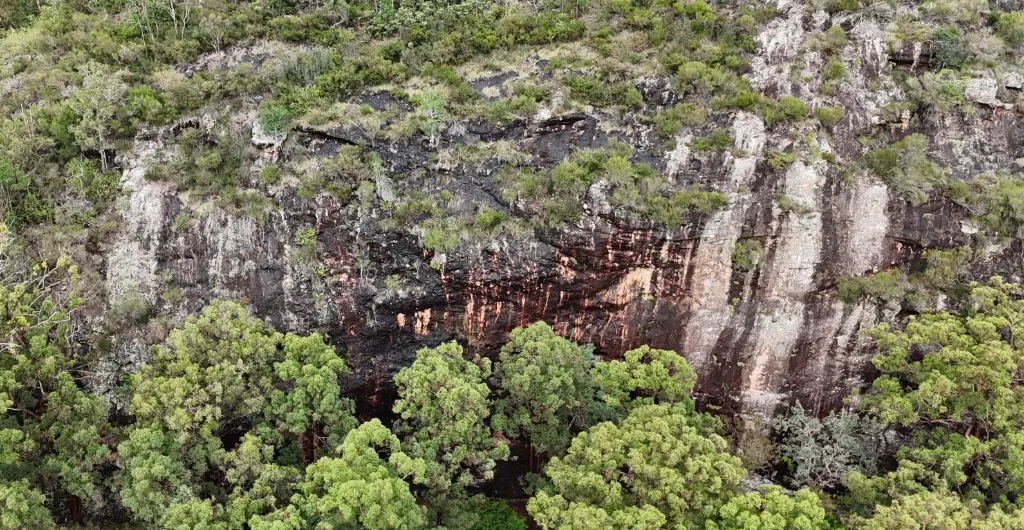 Buckingham Hill banner