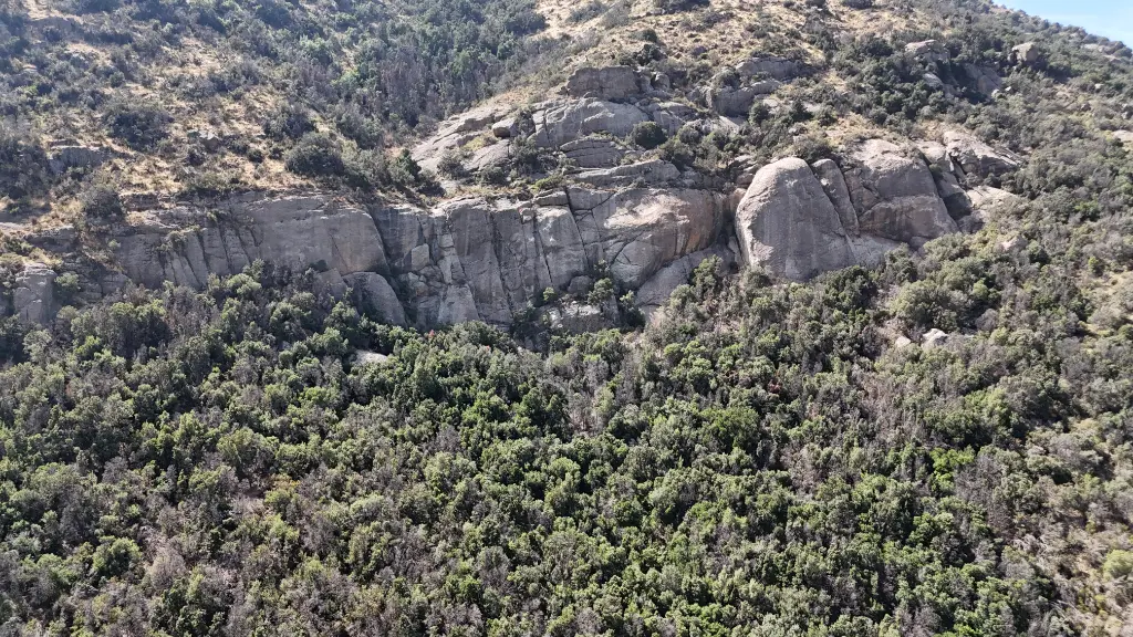 Las Palestras banner