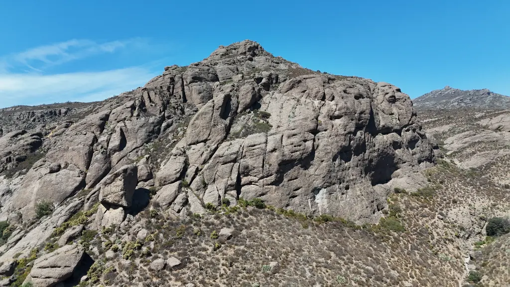 Vinchucalandia banner