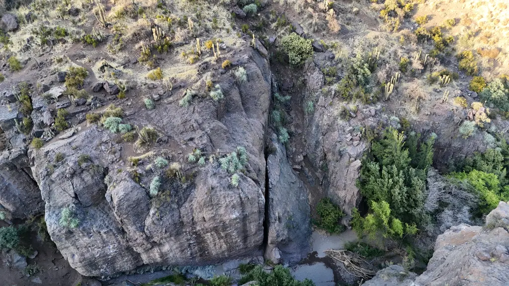 Bajo, Jabon y Machete banner
