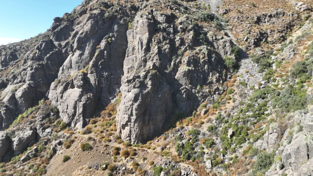 Vinchuca Voladora banner