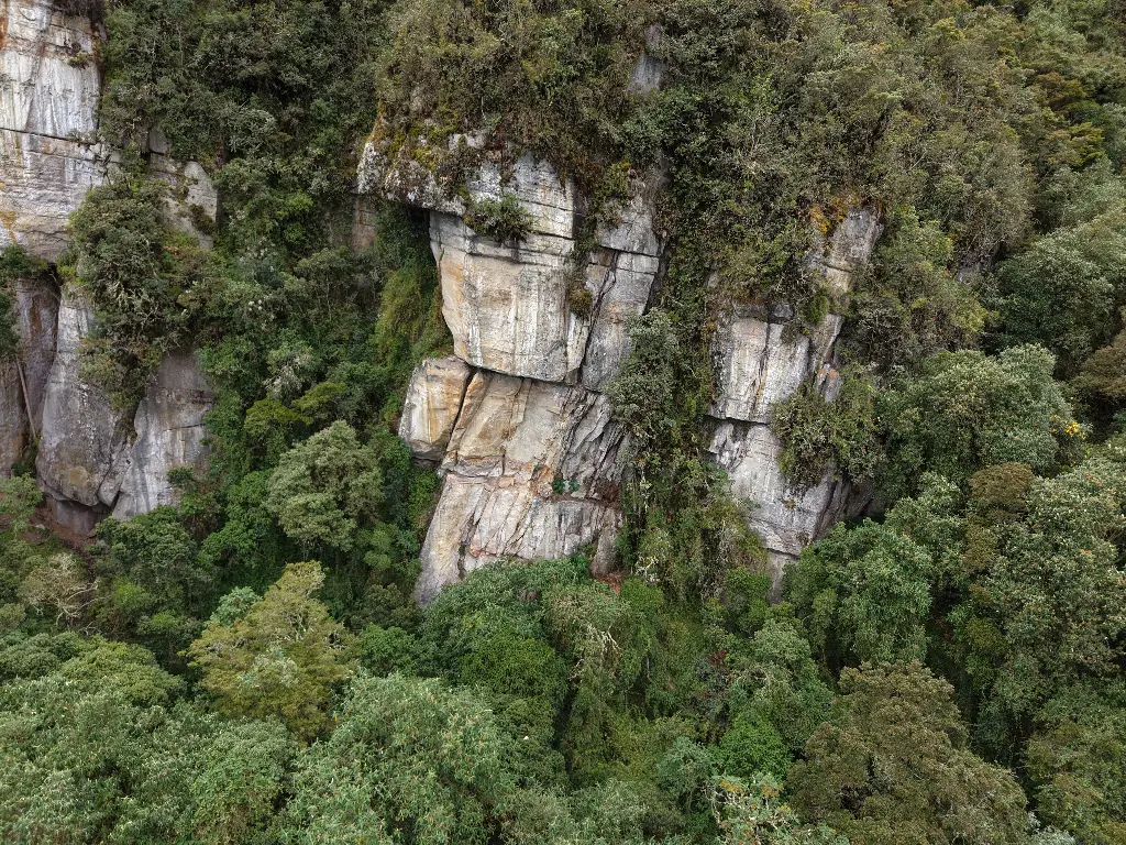 Sectores 1 & 2 banner