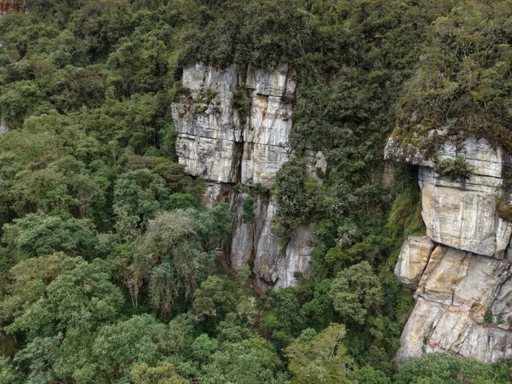 Bosque Encantado banner