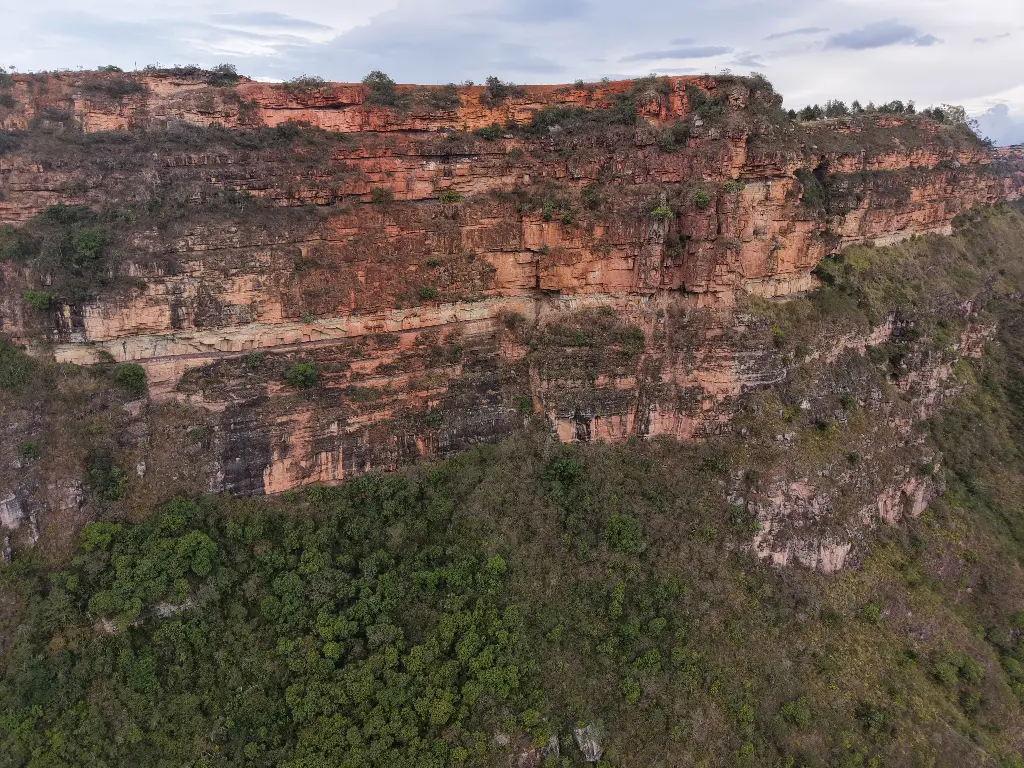 La Mojarra Salvaje banner