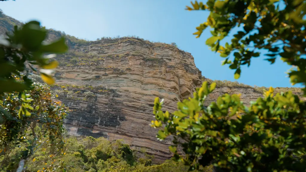 La Pared/Macaguato banner