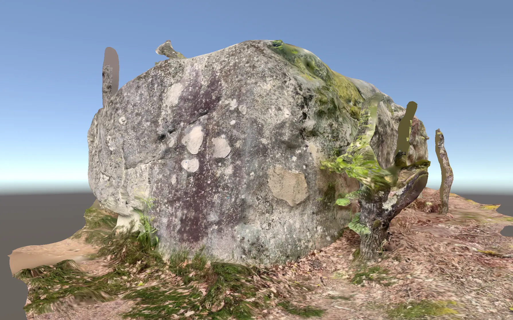 Dhal Bhat Boulder banner