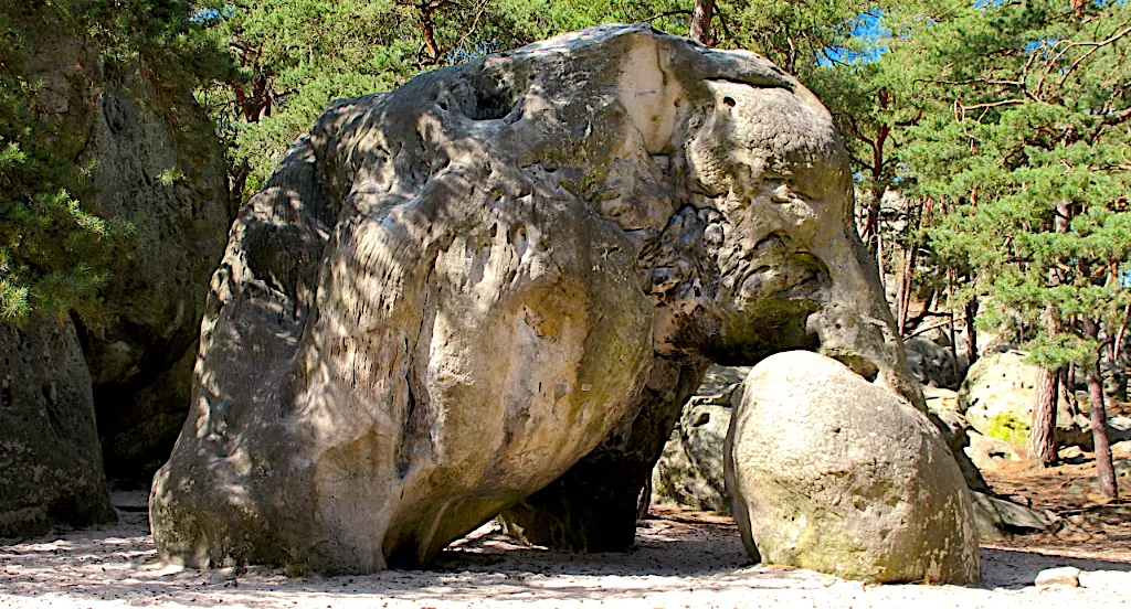 Fontainebleau banner