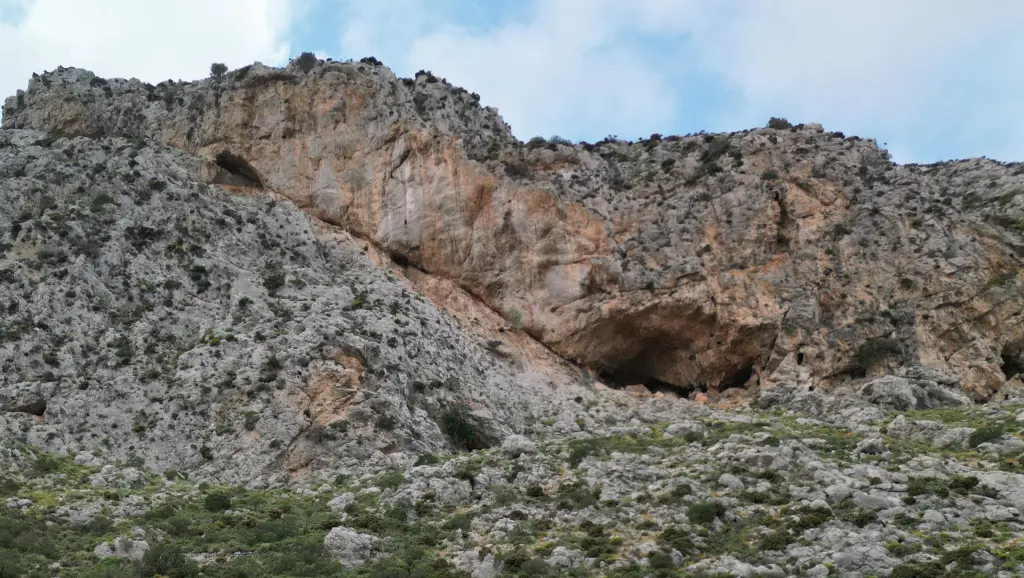 Local Freezer banner