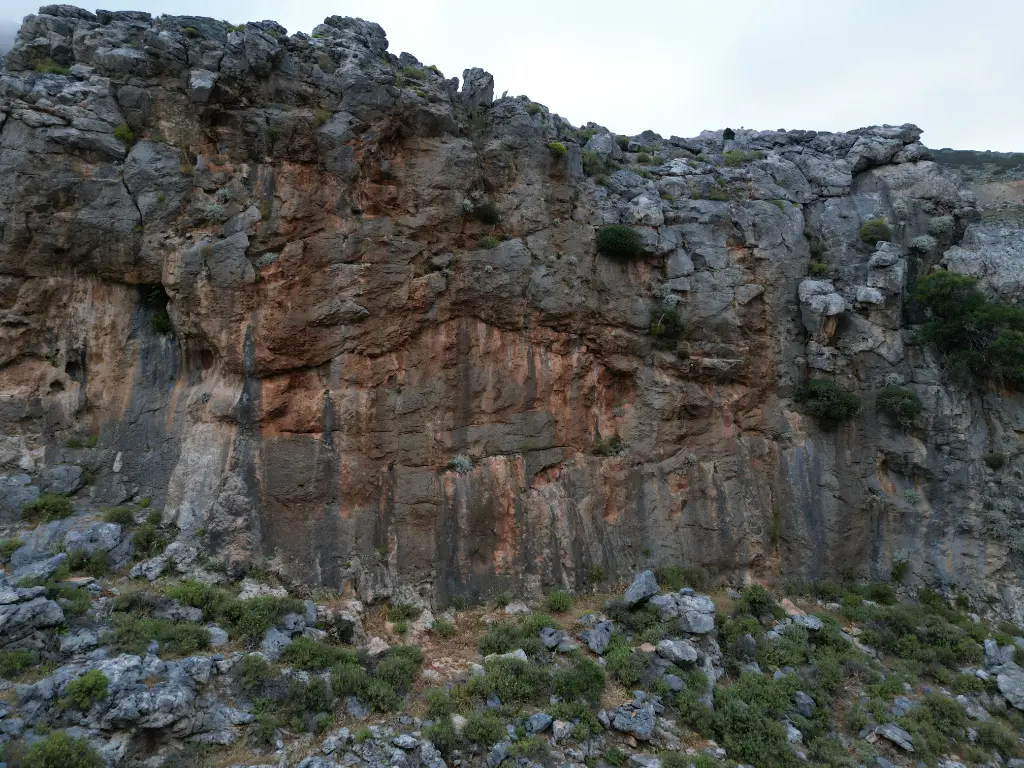 Red Wine Wall banner