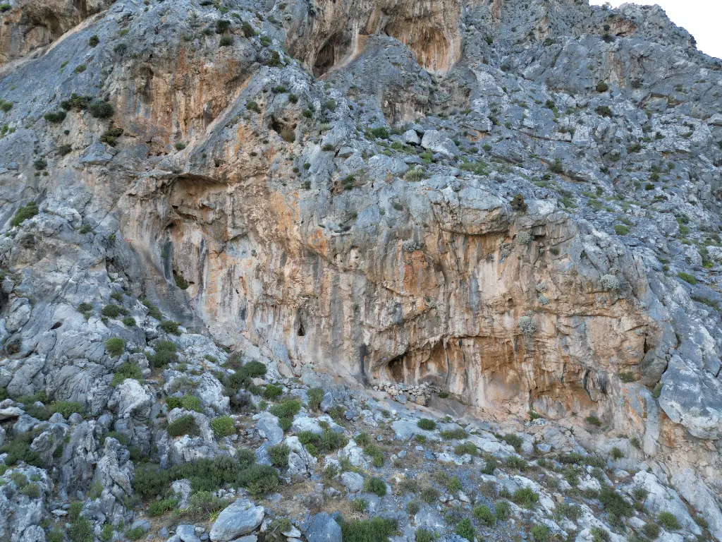 White Wine Wall banner