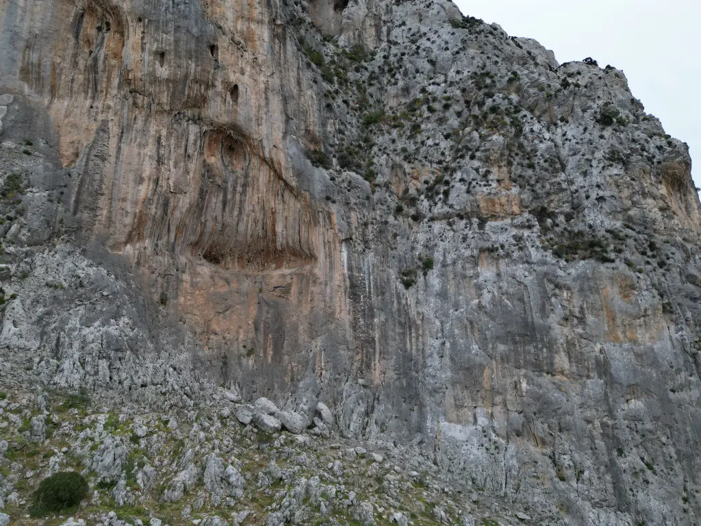 Afternoon Wall banner