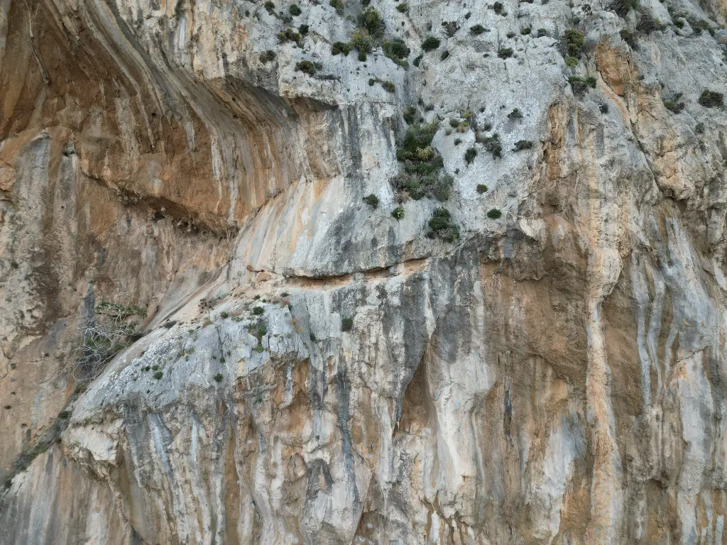 Iannis and Cœur d'Armeos banner