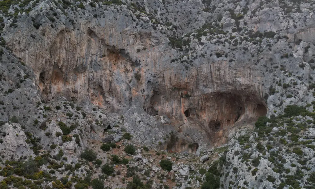 Jurassic Park banner