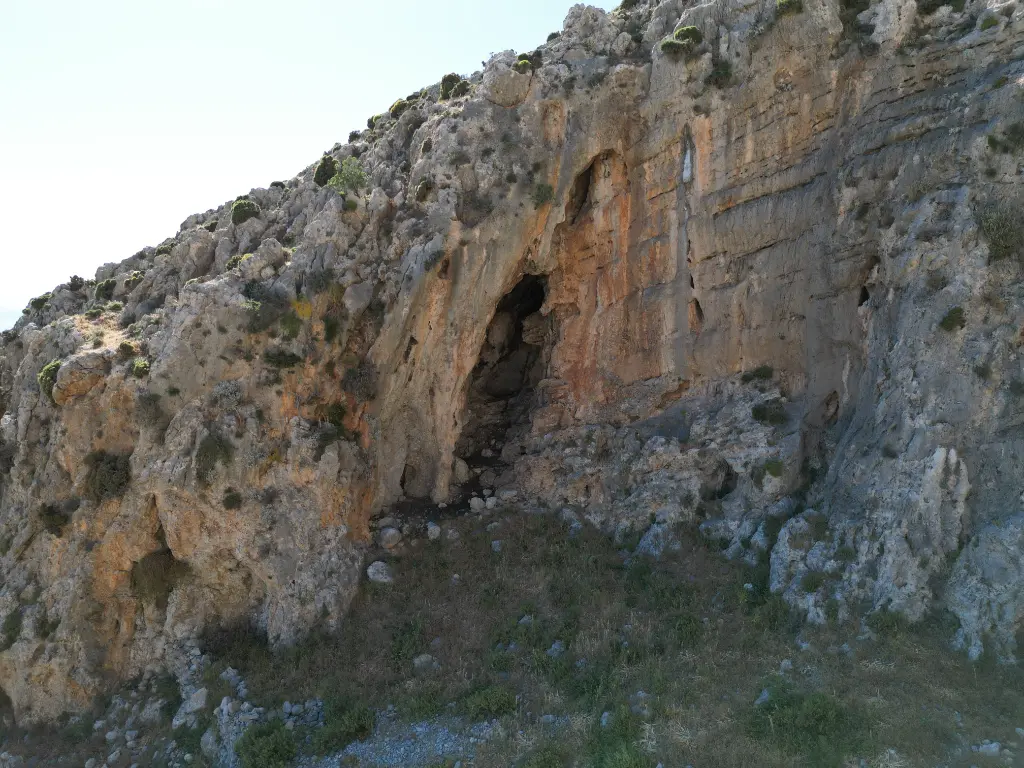 Thalassa Left banner