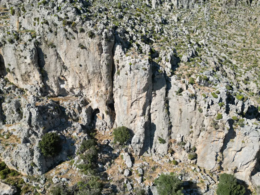 Thalassa Main banner