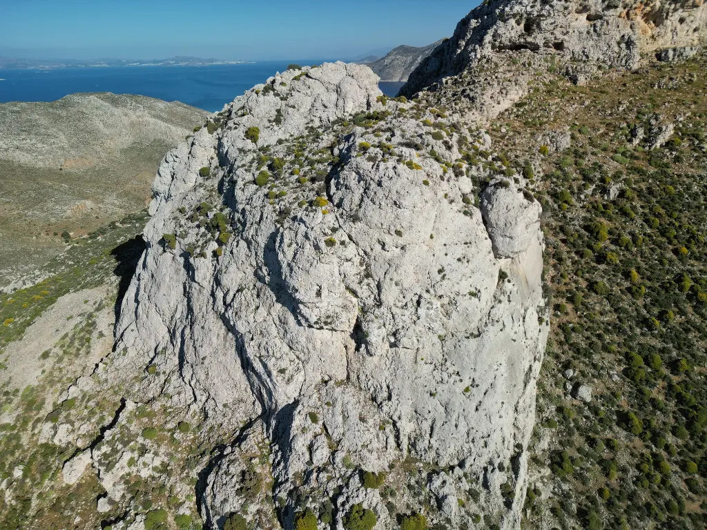 Elephant Side banner