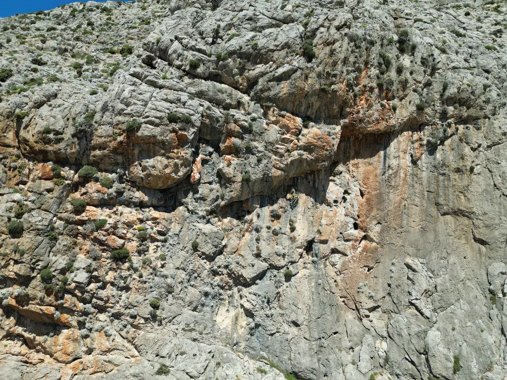 Palionisos Bay banner